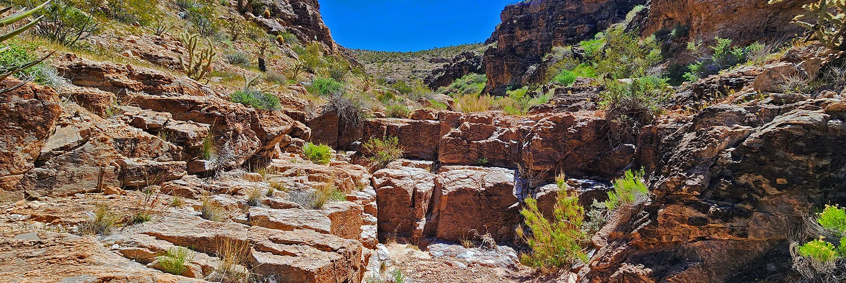 Beautiful Limestone Block Steps as Canyon Wash Works its Way Downward. | Blue Diamond Hill Southern Triangle | Red Rock Canyon National Conservation Area, Nevada