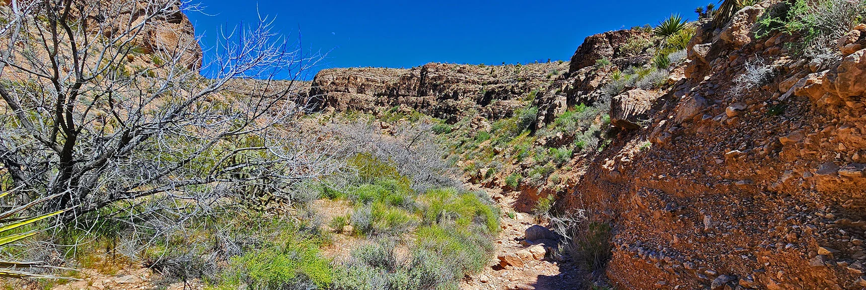 Head Back Up the Canyon to Circle Around and View Barrier from Below. | Blue Diamond Hill Southern Triangle | Red Rock Canyon National Conservation Area, Nevada