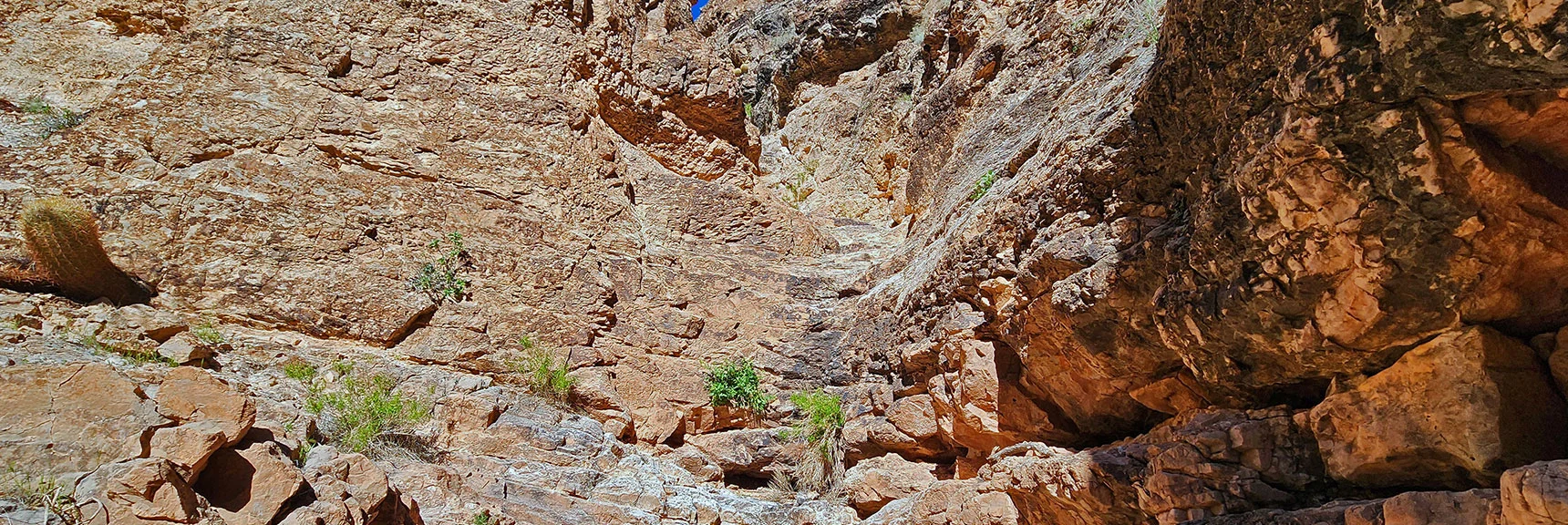 Here's That Canyon Barrier That Turned Me Around Earlier. | Blue Diamond Hill Southern Triangle | Red Rock Canyon National Conservation Area, Nevada