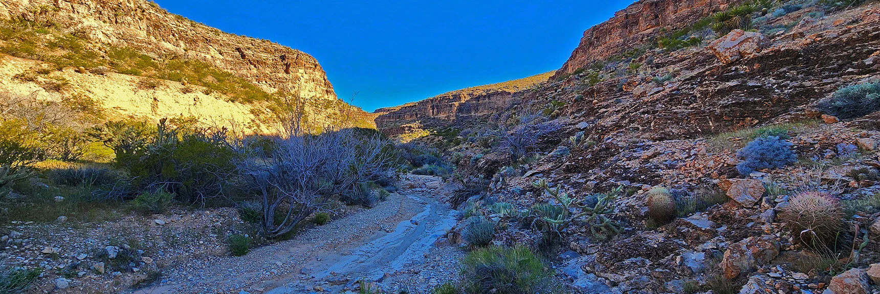 Totally Peaceful. Like Being in Another World from Hwy 159 Rushing Noise. | Blue Diamond Hill Southern Triangle | Red Rock Canyon National Conservation Area, Nevada