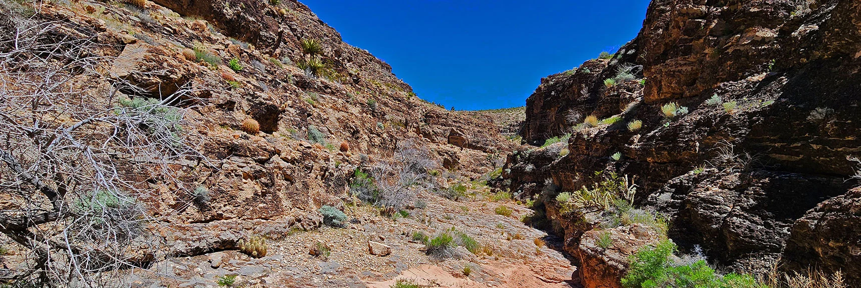View Up a Narrow Stretch in the Canyon. | Blue Diamond Hill Southern Triangle | Red Rock Canyon National Conservation Area, Nevada
