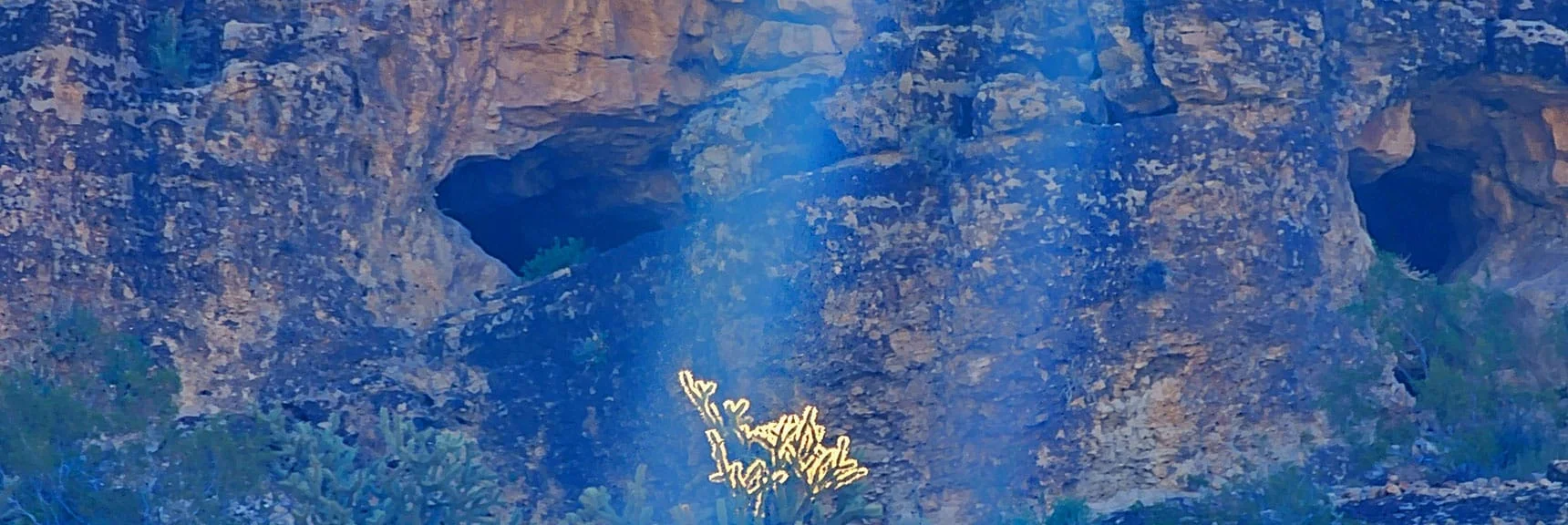 Quick Descent in Branching Canyon. Heads Straight to 2 Caves in Limestone Walls Above | Blue Diamond Hill Southern Triangle | Red Rock Canyon National Conservation Area, Nevada