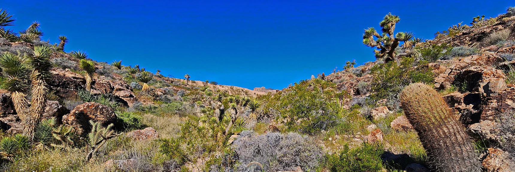 Mine Road Just Above. Take a Left Along Mining Area, Then Down Next Canyon South. | Blue Diamond Hill Southern Triangle | Red Rock Canyon National Conservation Area, Nevada