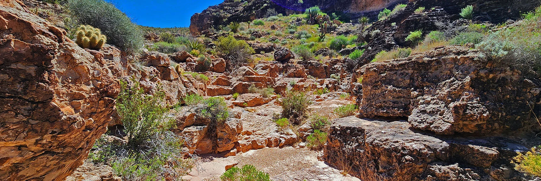 View Back Up the Canyon. Rugged, Beautiful Limestone Block Floor | Blue Diamond Hill Southern Triangle | Red Rock Canyon National Conservation Area, Nevada
