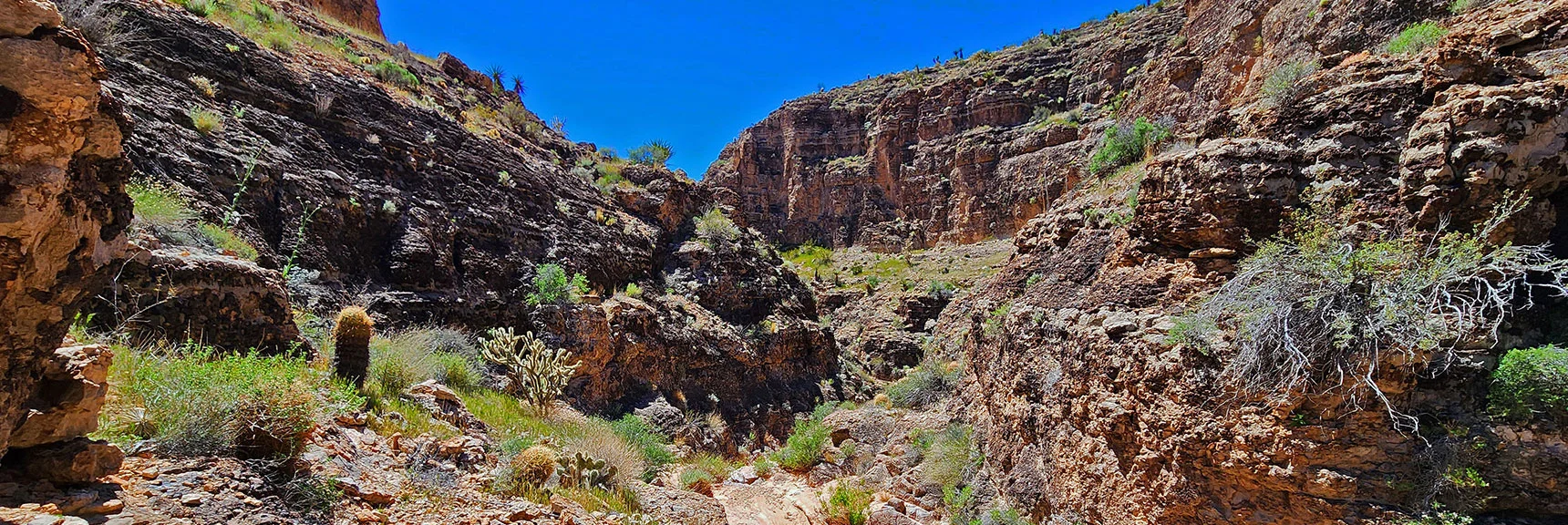 Continuing Down the Canyon. Walls Rapidly Rise. | Blue Diamond Hill Southern Triangle | Red Rock Canyon National Conservation Area, Nevada
