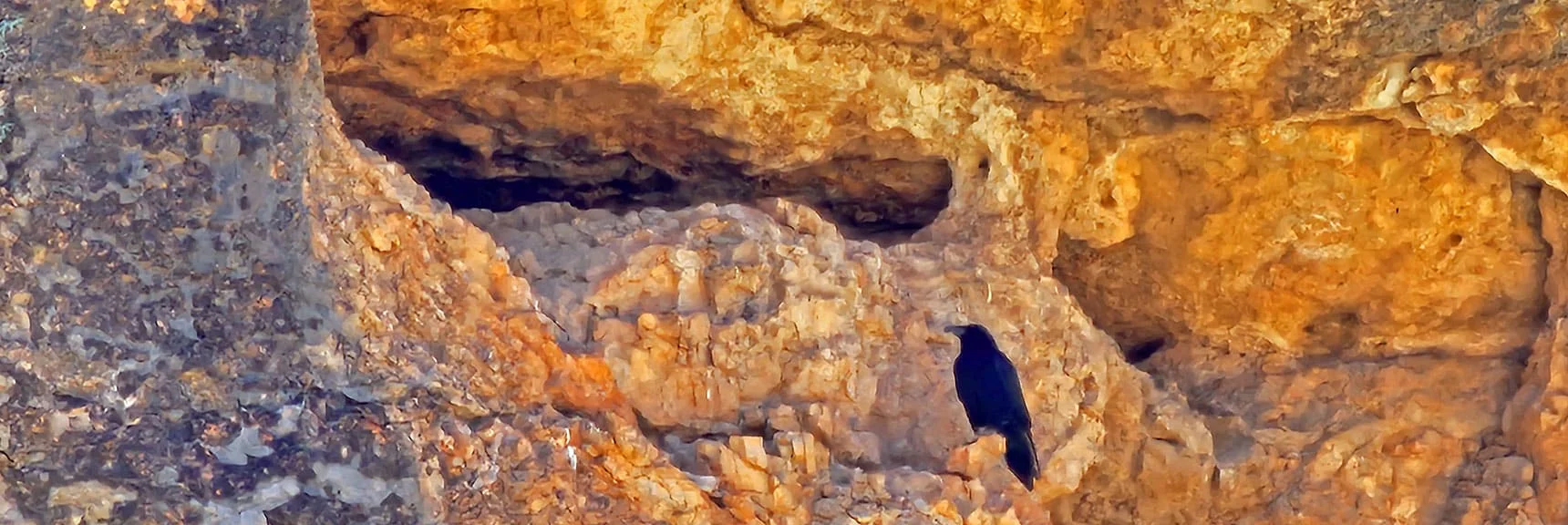 This Cave Has a Guardian! | Blue Diamond Hill Southern Triangle | Red Rock Canyon National Conservation Area, Nevada