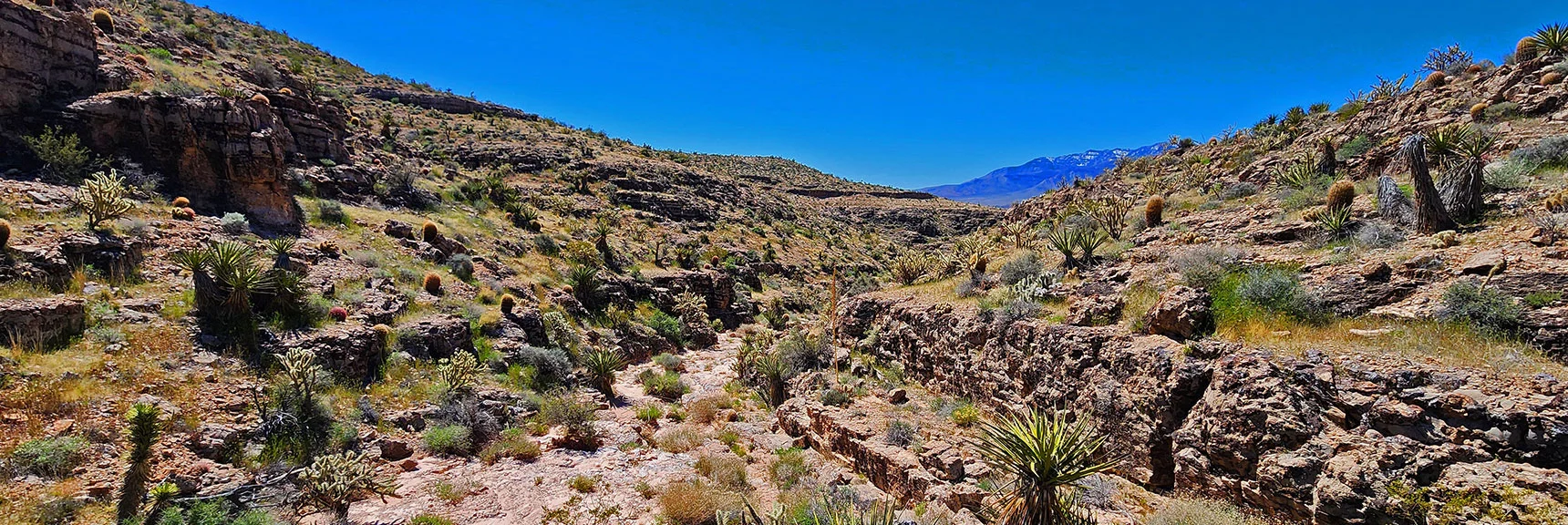 Again, Walls Rapidly Deepening. Wash Surface is Easy to Navigate. | Blue Diamond Hill Southern Triangle | Red Rock Canyon National Conservation Area, Nevada