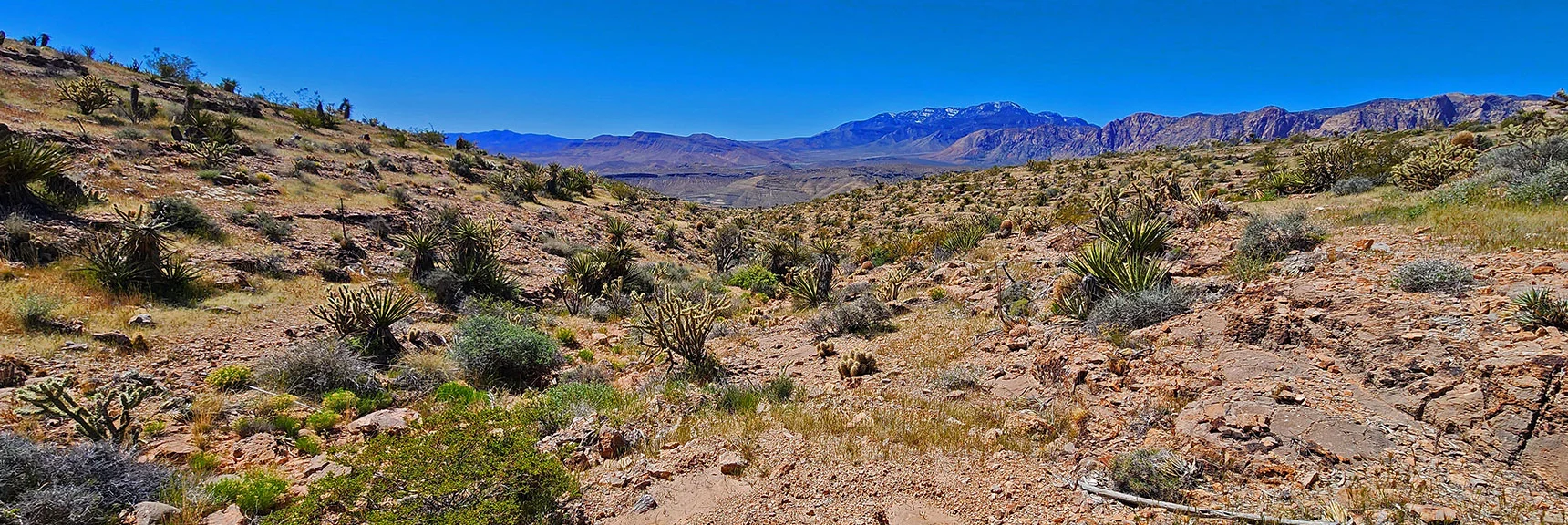 Descending Larger Canyon Leading to Upside-Down Triangle Apex Below. | Blue Diamond Hill Southern Triangle | Red Rock Canyon National Conservation Area, Nevada