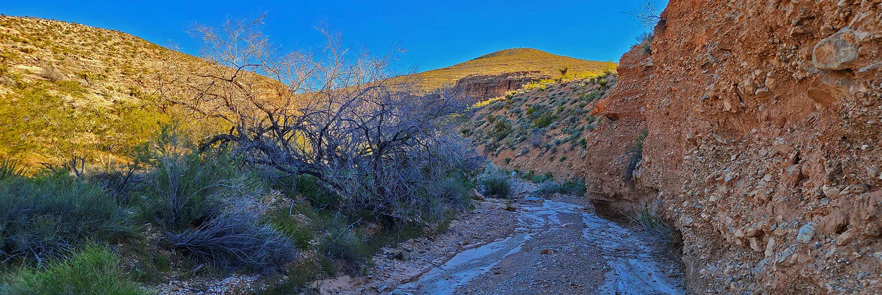 Canyon Rapidly Deepening. 200ft Walls in Sight Just Ahead. | Blue Diamond Hill Southern Triangle | Red Rock Canyon National Conservation Area, Nevada