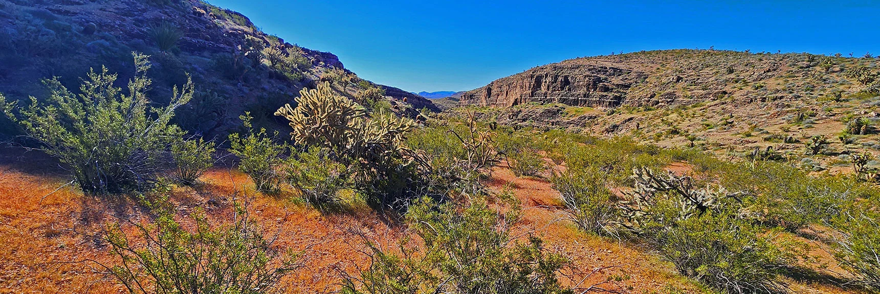 View Down Canyon to Stretch with Highest Walls. | Blue Diamond Hill Southern Triangle | Red Rock Canyon National Conservation Area, Nevada