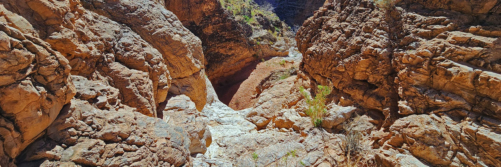 This Time I Climb the Barrier and Continue Back to the Canyon Summit. | Blue Diamond Hill Southern Triangle | Red Rock Canyon National Conservation Area, Nevada