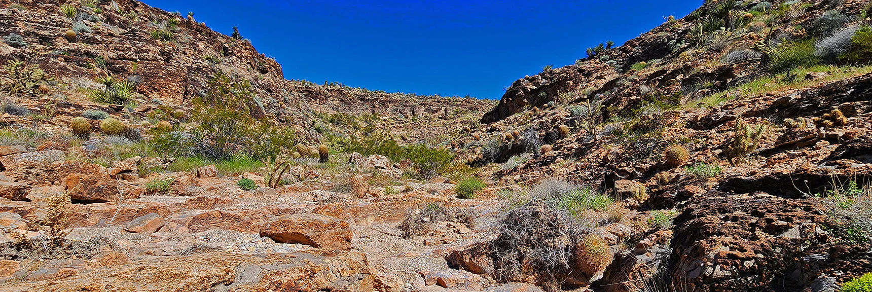 A little Further Exploration in This Side Branch | Blue Diamond Hill Southern Triangle | Red Rock Canyon National Conservation Area, Nevada