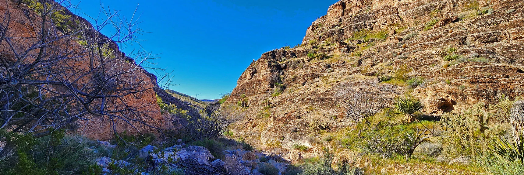 Took Left Branch. View Back Down the Canyon. The Wash is Open and Easy to Navigate. | Blue Diamond Hill Southern Triangle | Red Rock Canyon National Conservation Area, Nevada