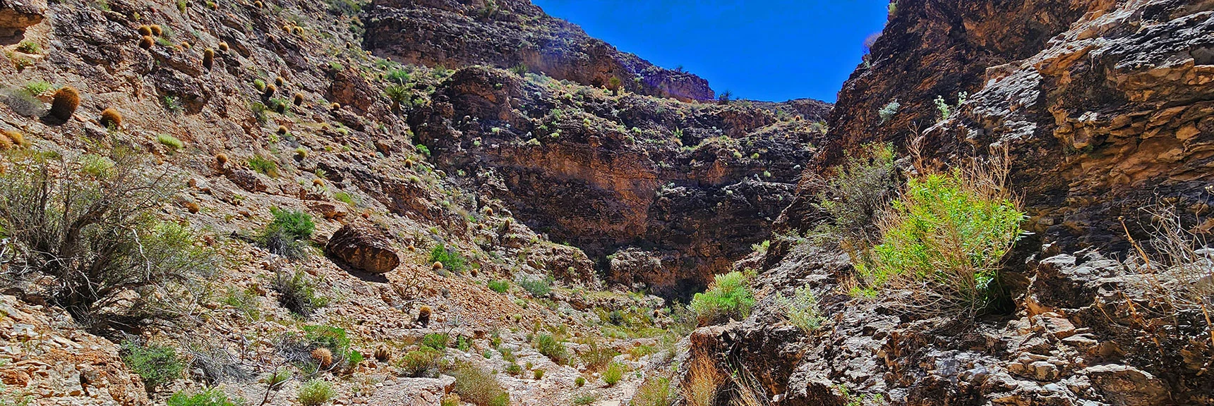 Canyon Narrows. Will Soon Hear an Echo | Blue Diamond Hill Southern Triangle | Red Rock Canyon National Conservation Area, Nevada