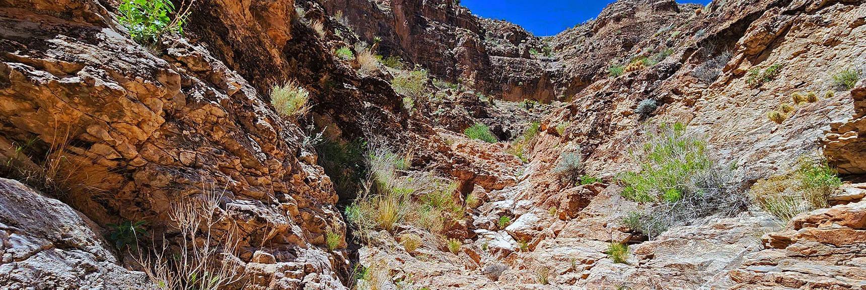 View Back Up the Canyon to Larger Dry Fall, Easily Navigated. | Blue Diamond Hill Southern Triangle | Red Rock Canyon National Conservation Area, Nevada