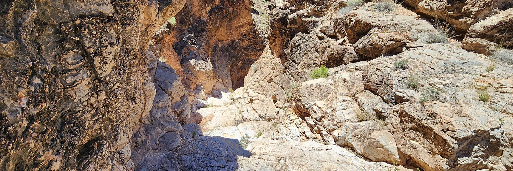 Stopped by a Steep, Smooth Rock Barrier About a 2/3rds Down the Canyon. | Blue Diamond Hill Southern Triangle | Red Rock Canyon National Conservation Area, Nevada