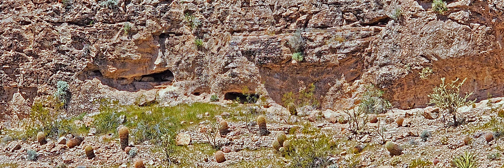 Two More Caves in the Limestone Walls Ahead. On a Mid-Level, Hard to Access. | Blue Diamond Hill Southern Triangle | Red Rock Canyon National Conservation Area, Nevada