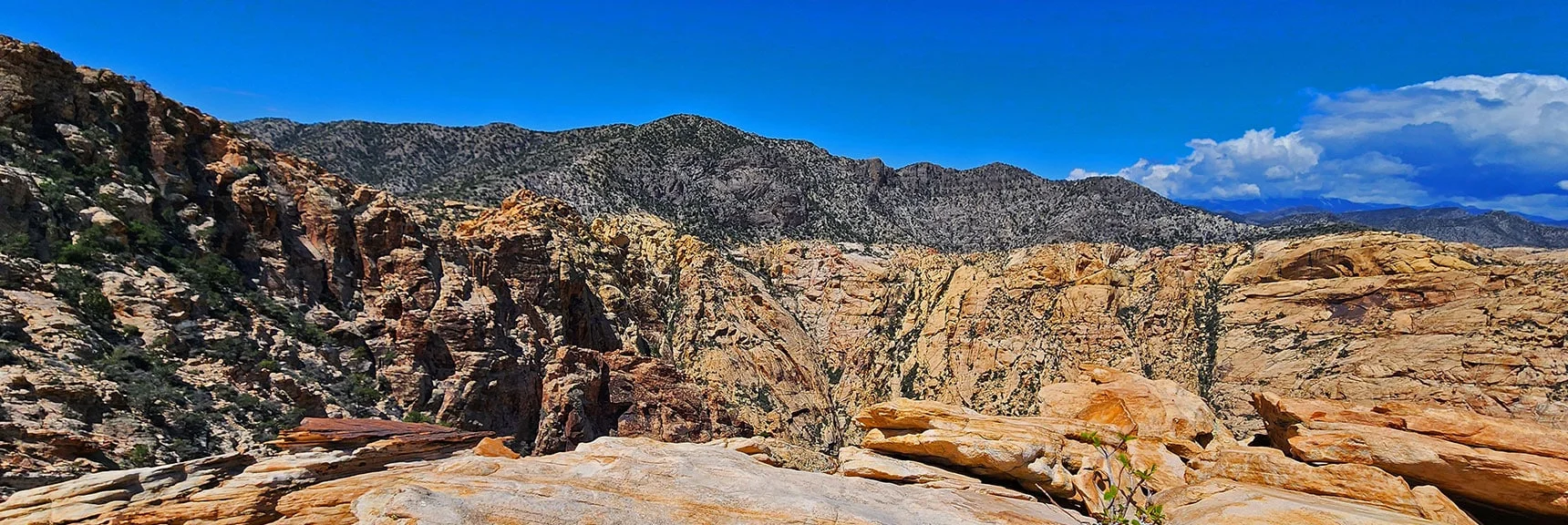Upper Crest Ridgeline from Black Velvet Peak | Black Velvet Peak | Rainbow Mountain Wilderness, Nevada