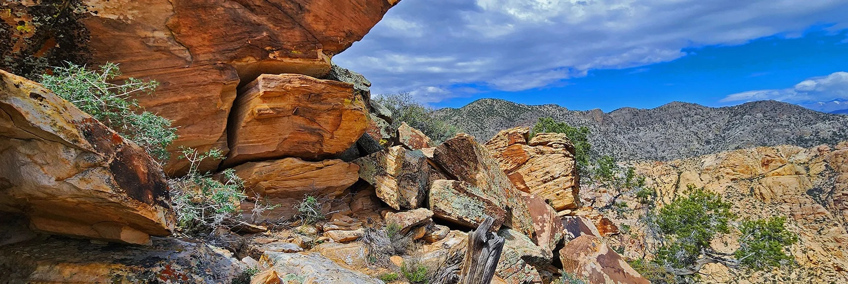 Corner Just Rounded Before Descending Saddle. Upper Crest Ridgeline Background. | Black Velvet Peak | Rainbow Mountain Wilderness, Nevada