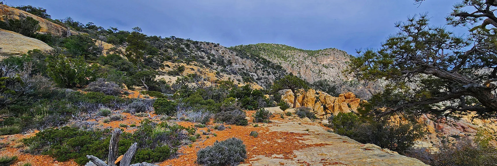 View from Sandstone Saddle to Northern Stretch of Upper Crest Ridgeline | Black Velvet Peak | Rainbow Mountain Wilderness, Nevada