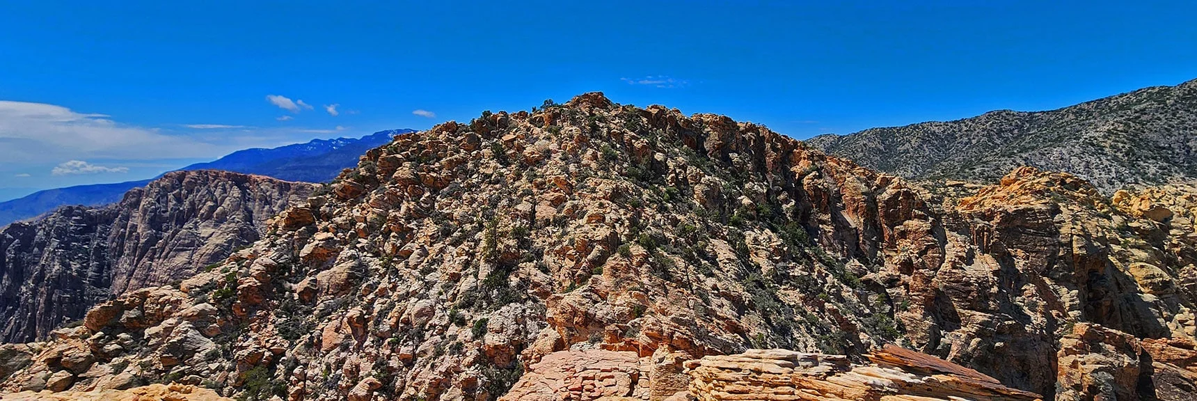 Heading Back Across Saddle to Higher Peak, Then Retrace Route to Trailhead | Rainbow Mountain Wilderness, Nevada