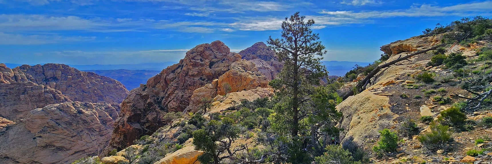 Descending Toward Black Velvet Peak. Now on Sandstone Saddle Area. | Black Velvet Peak | Rainbow Mountain Wilderness, Nevada