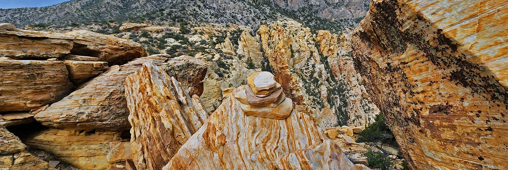 Looking Back Down Toward the Exposed Ledge Area | Black Velvet Peak | Rainbow Mountain Wilderness, Nevada