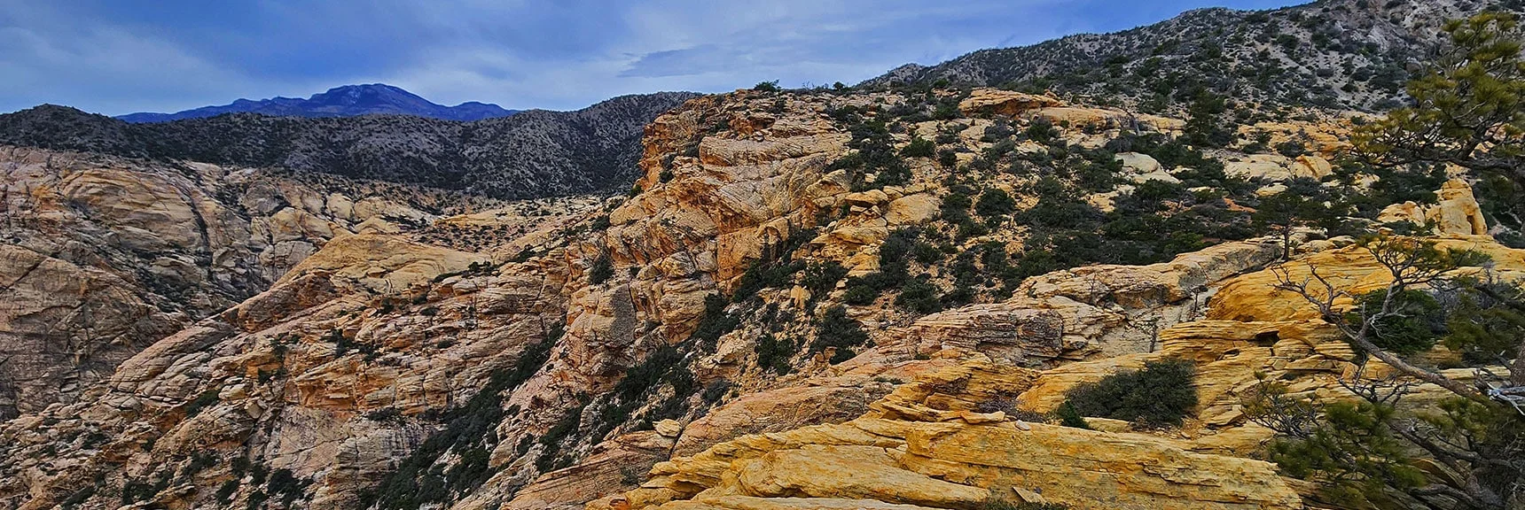 View Back Across Saddle to Upper Crest Ridgeline Looking South | Black Velvet Peak | Rainbow Mountain Wilderness, Nevada