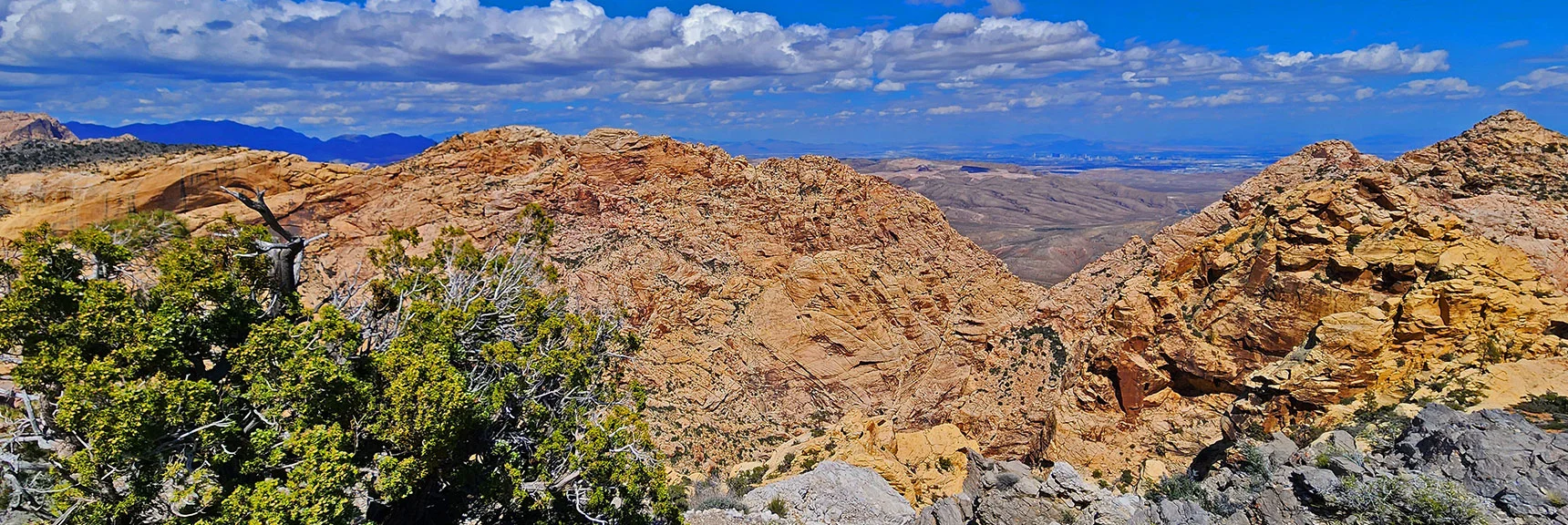 Hidden Peak & Monument Peak Area from Mountain Spring Peak | Black Velvet Peak | Rainbow Mountain Wilderness, Nevada