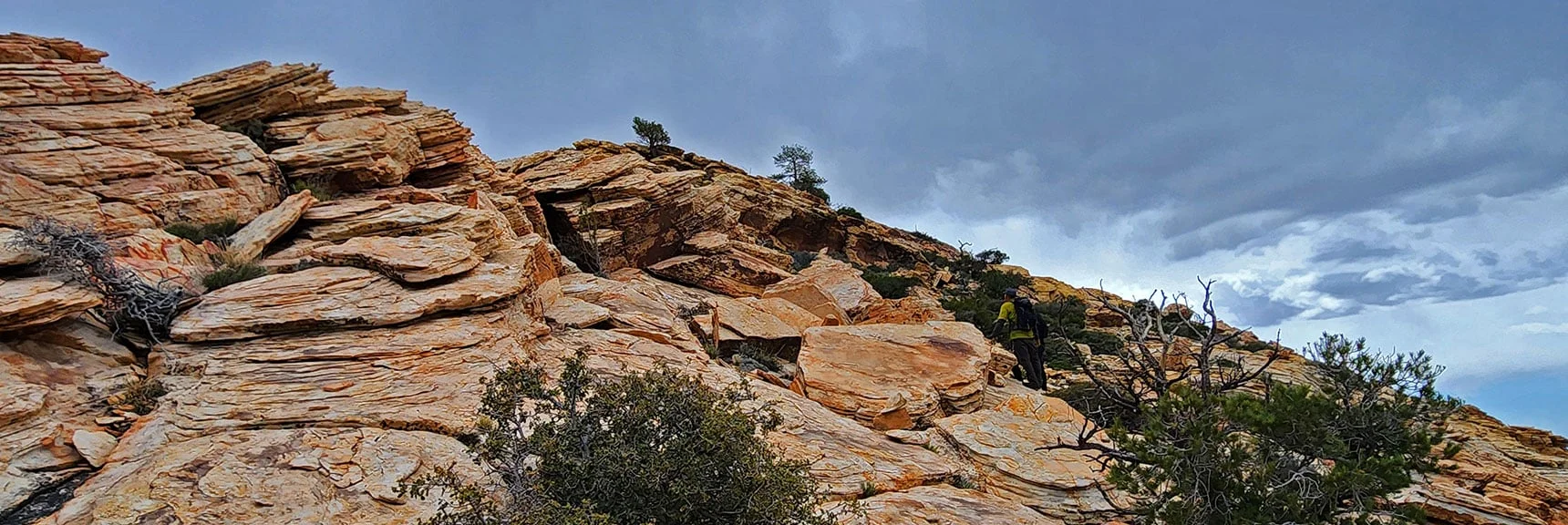 Ascend the Higher Peak, Then Descend the Saddle Toward the Lower (Official) Peak | Black Velvet Peak | Rainbow Mountain Wilderness, Nevada