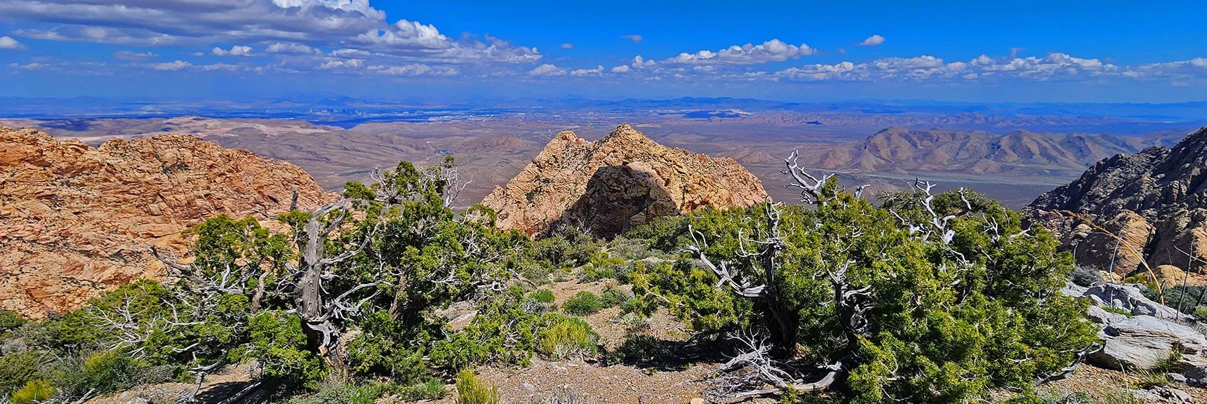 Black Velvet Peak from Mountain Spring Peak | Black Velvet Peak | Rainbow Mountain Wilderness, Nevada