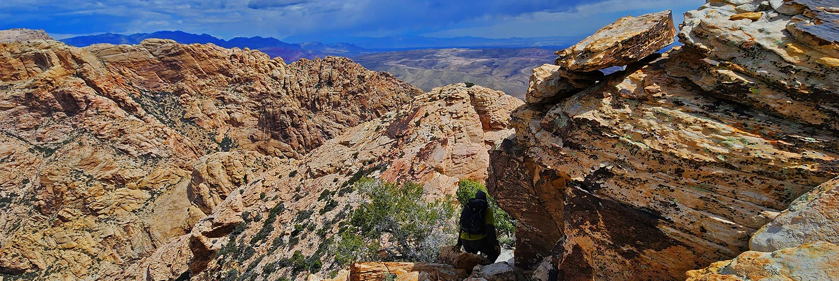 Descending Saddle Toward Official Black Velvet Peak Summit | Black Velvet Peak | Rainbow Mountain Wilderness, Nevada