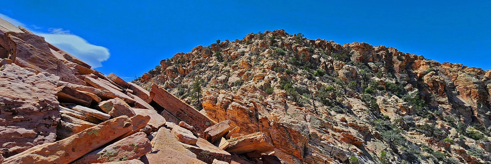 View Back Across Saddle Toward the Higher Peak | Black Velvet Peak | Rainbow Mountain Wilderness, Nevada