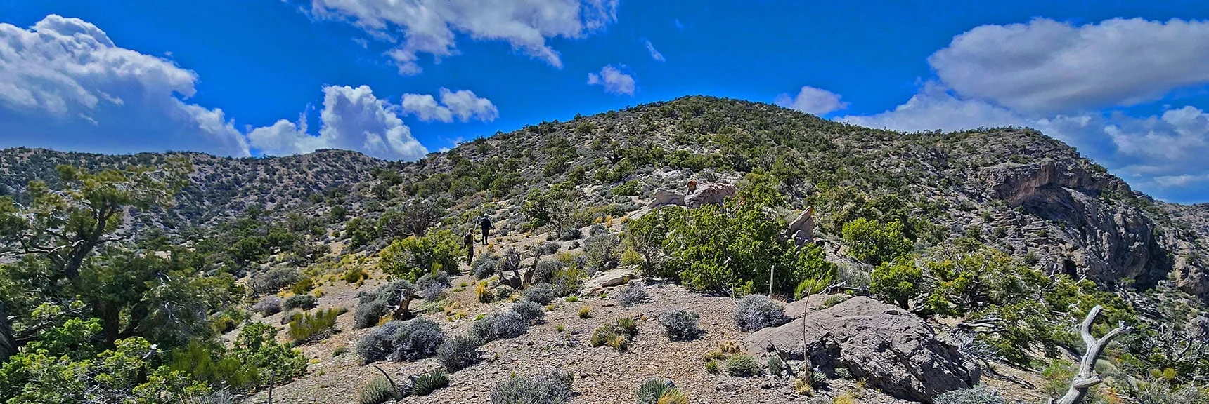 Now Heading Back Up Limestone Saddle Area Toward Mountain Spring Peak | Black Velvet Peak | Rainbow Mountain Wilderness, Nevada