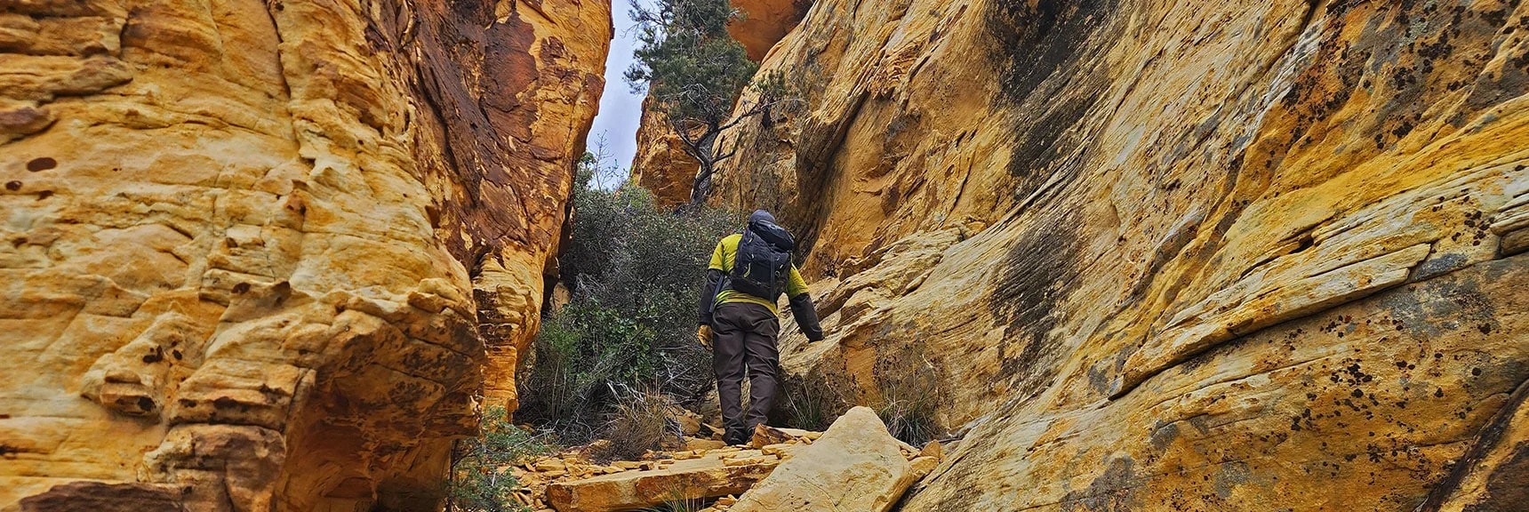 At Upper End of Corridor will Turn Right to Scale a Class 3 Chute | Black Velvet Peak | Rainbow Mountain Wilderness, Nevada