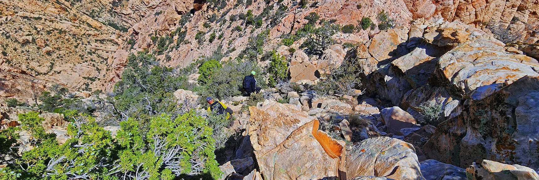 Descending to Saddle Toward Official Summit | Black Velvet Peak | Rainbow Mountain Wilderness, Nevada