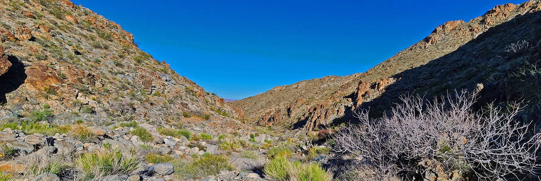 View Down Canyon from Further Up Beyond Dry Fall | Wilson Summit, Arizona (near Lake Mead NRA)