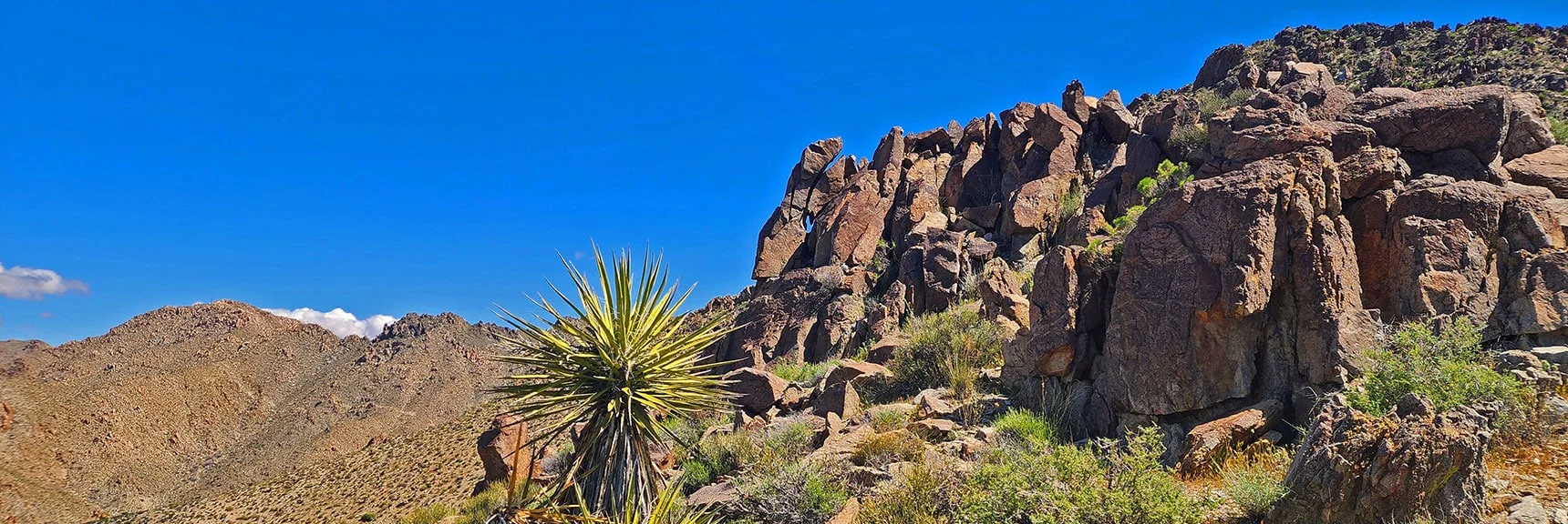 Final Summit Approach. More Sculpted Pillars | Wilson Summit, Arizona (near Lake Mead NRA)