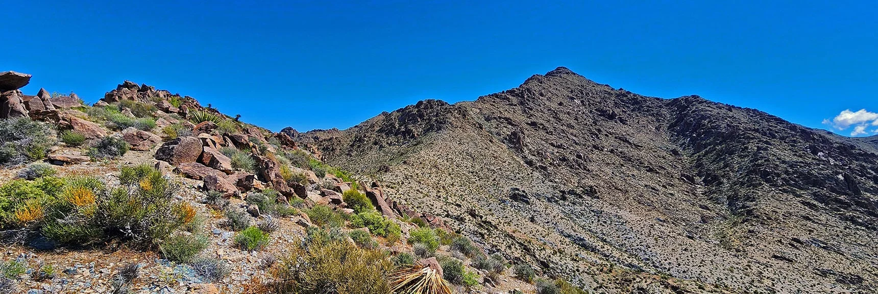 Mt. Wilson at Summit of Approach Ridge. Easy Navigation: Just Stay on Ridge | Wilson Summit, Arizona (near Lake Mead NRA)