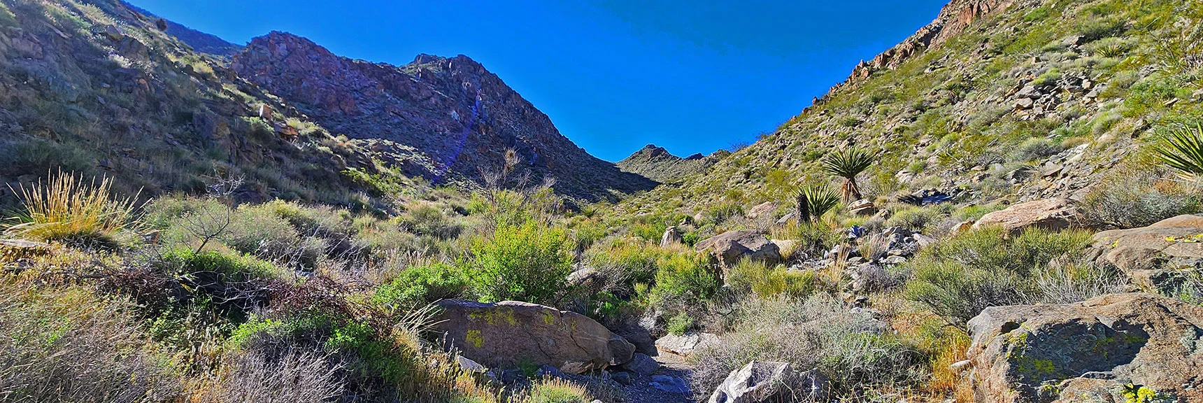 Turn Right Up Adjoining Canyon at Springs; Continue to Saddle at Upper End | Wilson Summit, Arizona (near Lake Mead NRA)