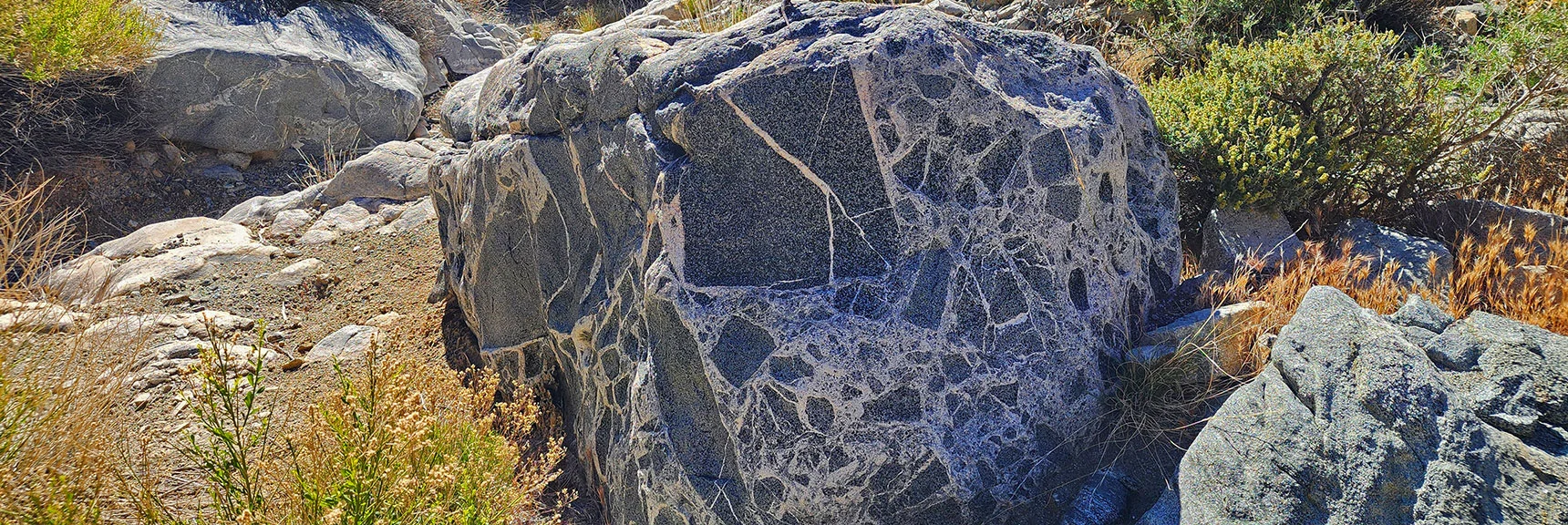 Calcite Veined Boulder in Horse Thief Canyon Wash Creates Mosaic Design | Wilson Summit, Arizona (near Lake Mead NRA)