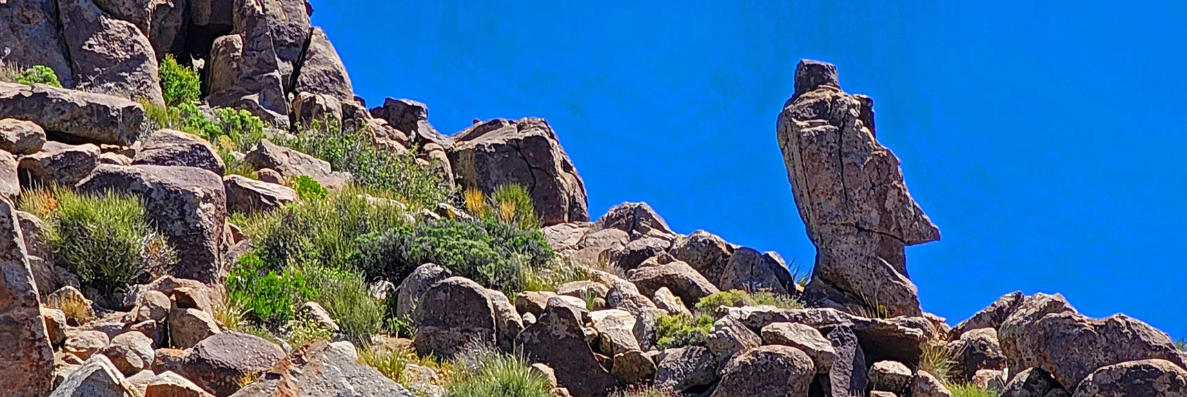 Now You Can't Miss it! | Wilson Summit, Arizona (near Lake Mead NRA)