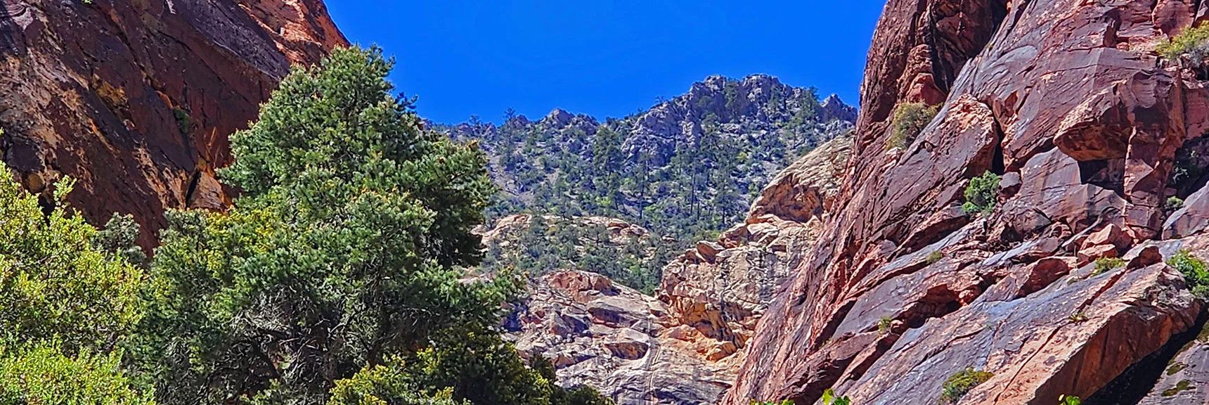 Beautiful Terrace Canyon is Around the Next Bend | Rainbow Mt via Pine Creek & Oak Creek Canyons, Nevada