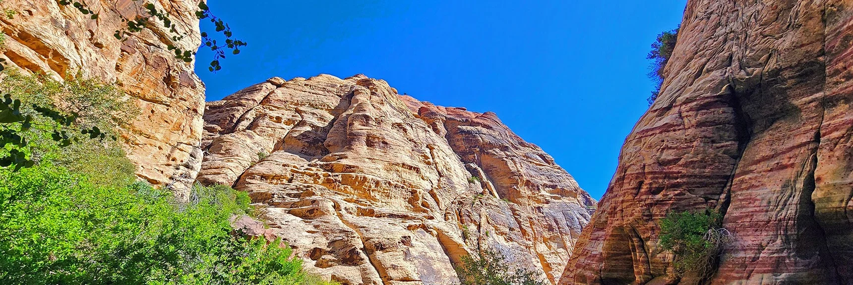 Cliffs Around Juniper Peak | Rainbow Mt via Pine Creek & Oak Creek Canyons, Nevada
