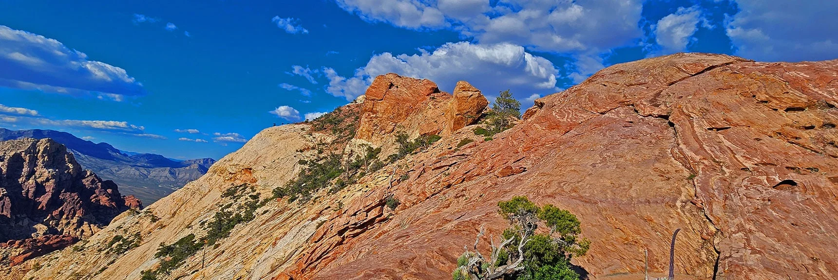 View Back Across Saddle Toward Rainbow Wall Summit Area | Rainbow Mt via Pine Creek & Oak Creek Canyons, Nevada