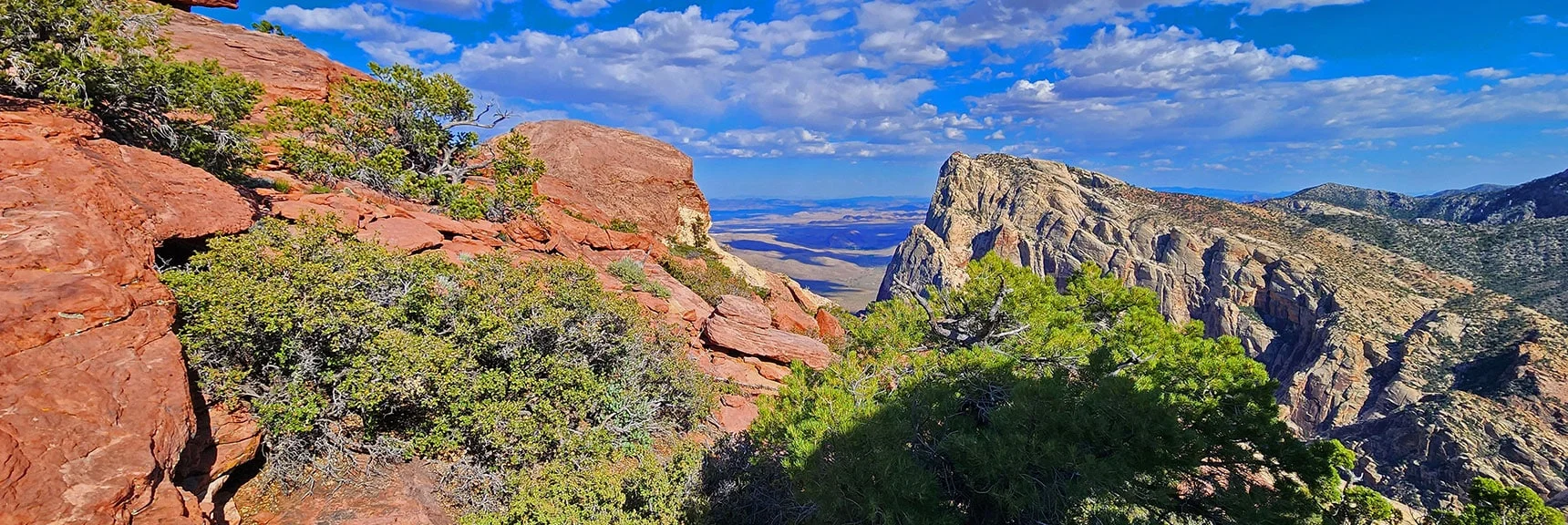 On the Summit Saddle, Now Looking Across Oak Canyon to Mt. Wilson. | Rainbow Mt via Pine Creek & Oak Creek Canyons, Nevada
