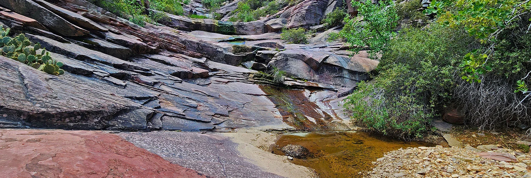 Singing Creek Cascades Over Ledges into Ponds Populated by Tiny But LOUD Frogs! | Rainbow Mt via Pine Creek & Oak Creek Canyons, Nevada