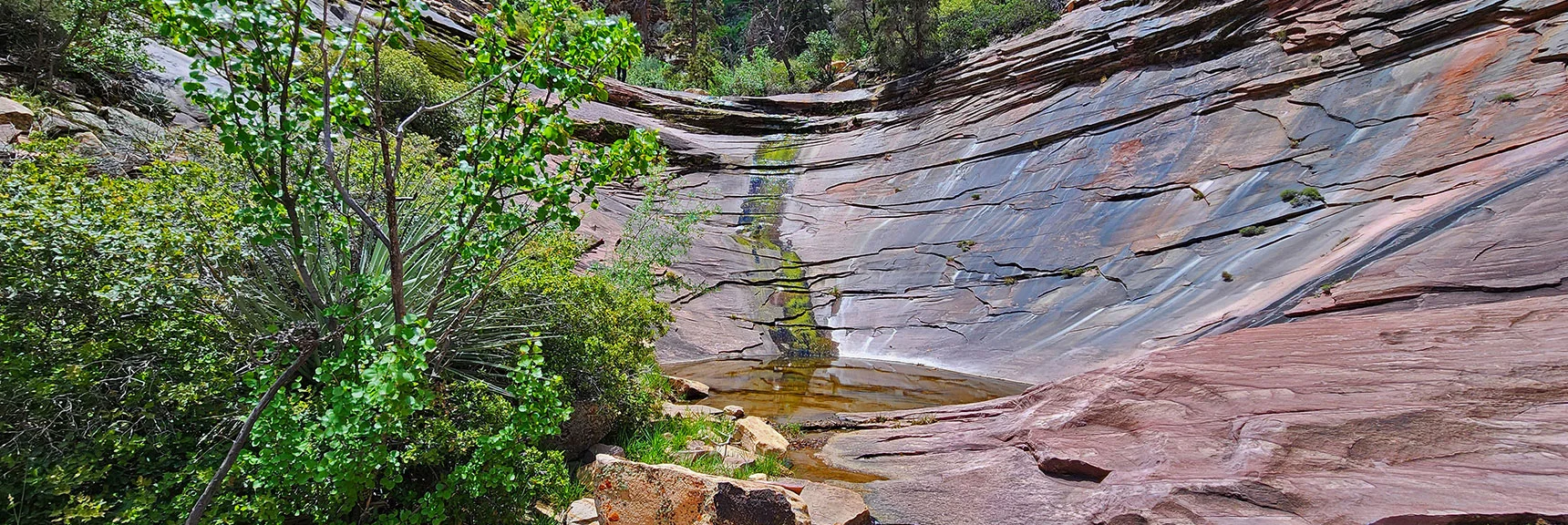 More Clear, Peaceful Pools. The Dark Bluish Colored Rock is Very Slick! | Rainbow Mt via Pine Creek & Oak Creek Canyons, Nevada