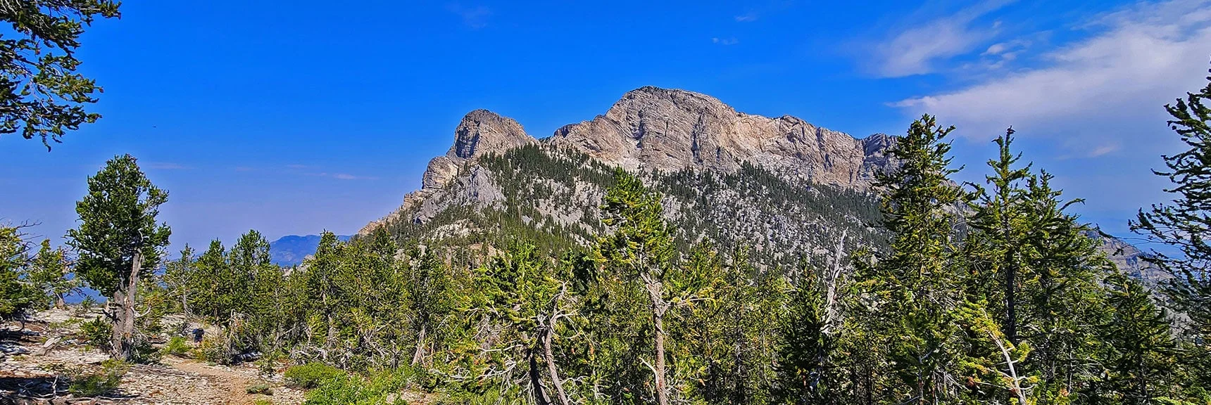 Navigate to the Summit of One of Nevada's Most Challenging and Spectacular Peaks | McFarland Peak Summit | Mt Charleston Wilderness, Nevada