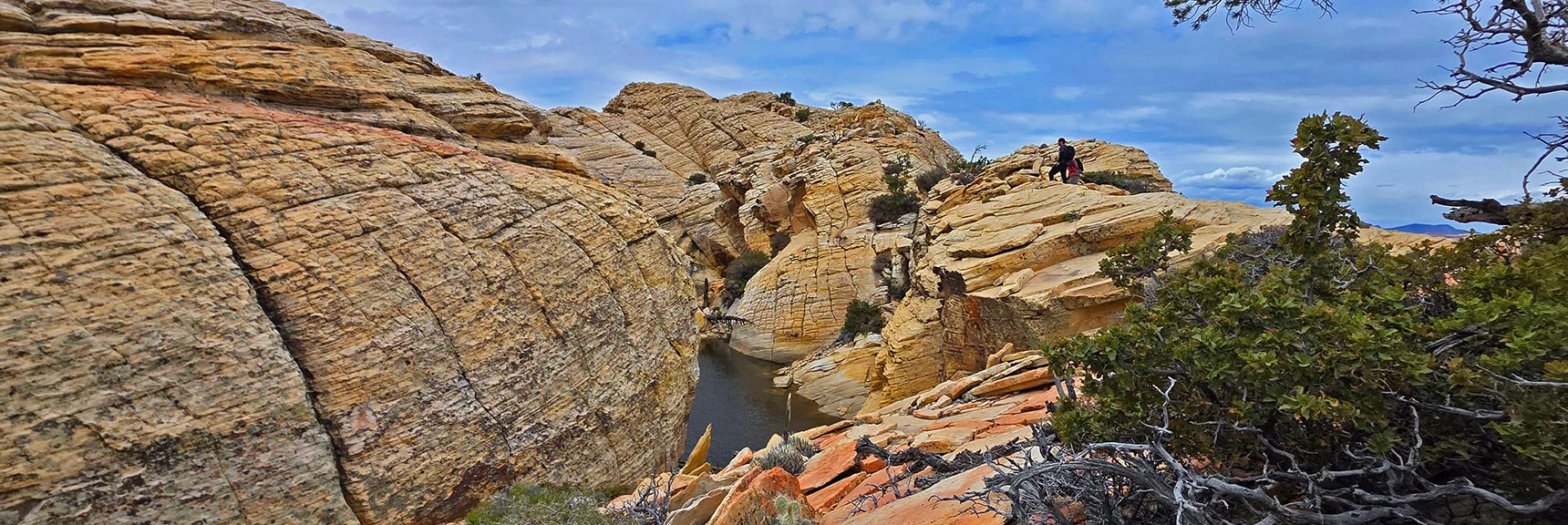 Tinaja is in a Saddle Between North & South Peaks, Both Easy Approach. | Monument Peak Summit | Rainbow Mountain Wilderness, Nevada